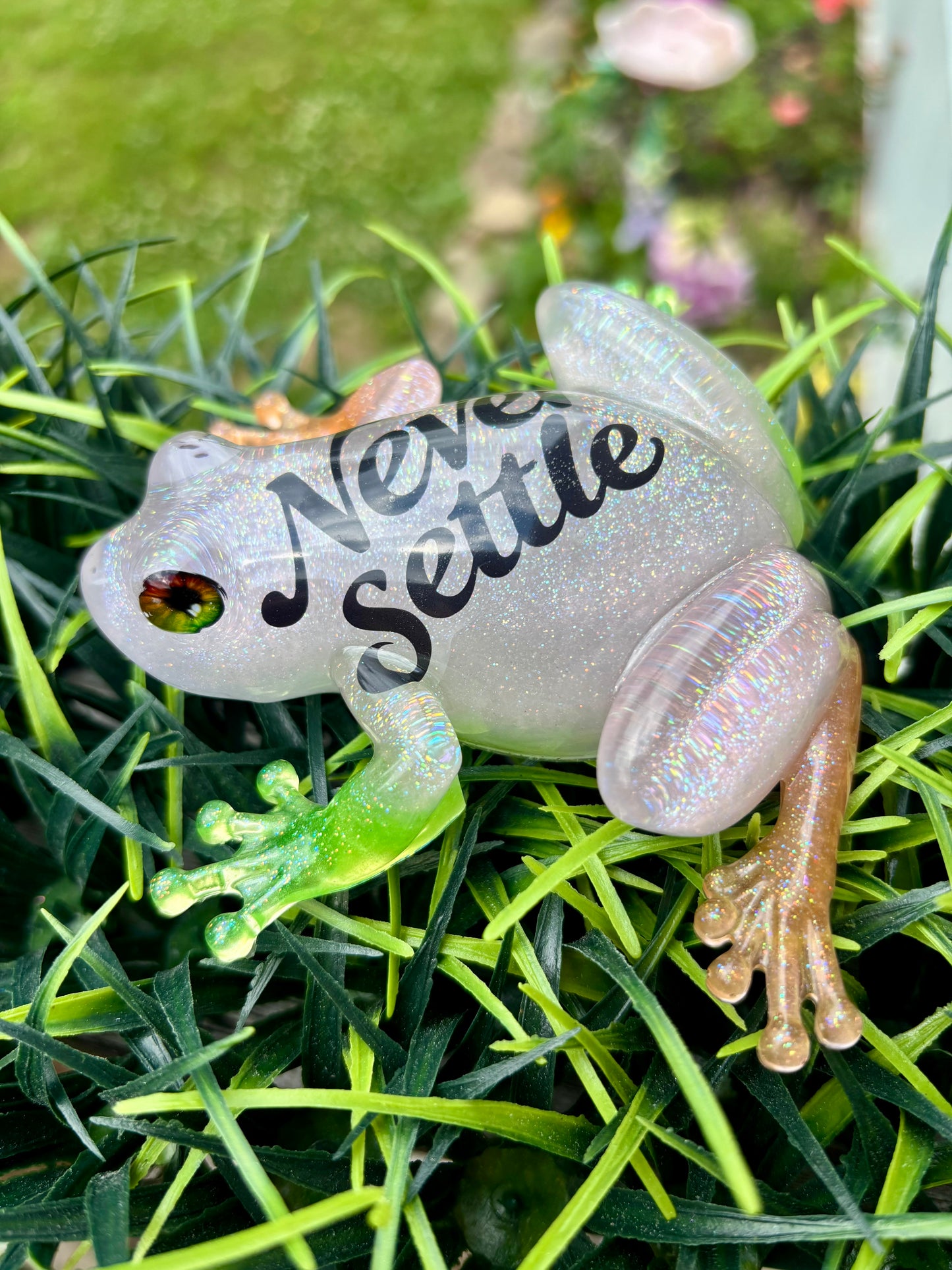 Frog “Never Settle”