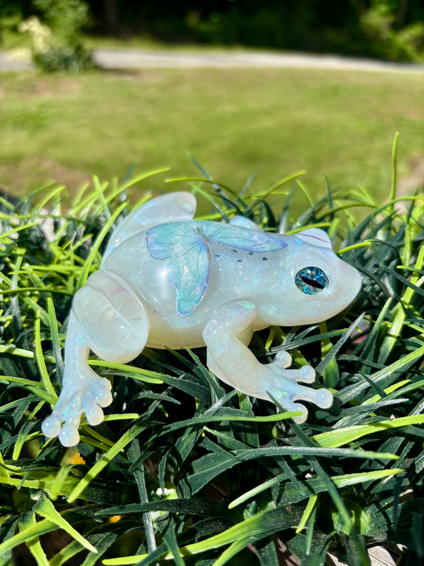 Frog Blue Opal Butterfly