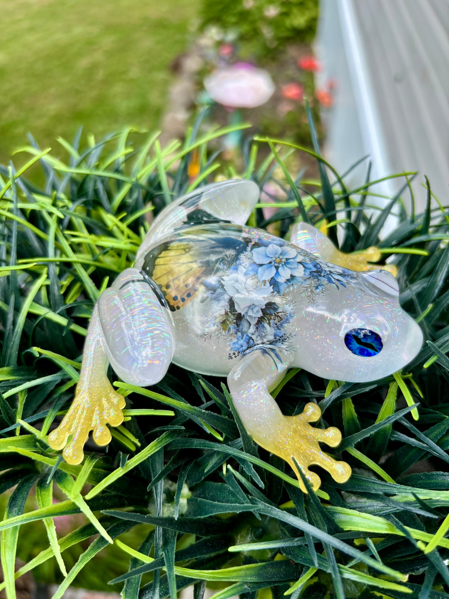 Frog Butterfly Blue/Yellow