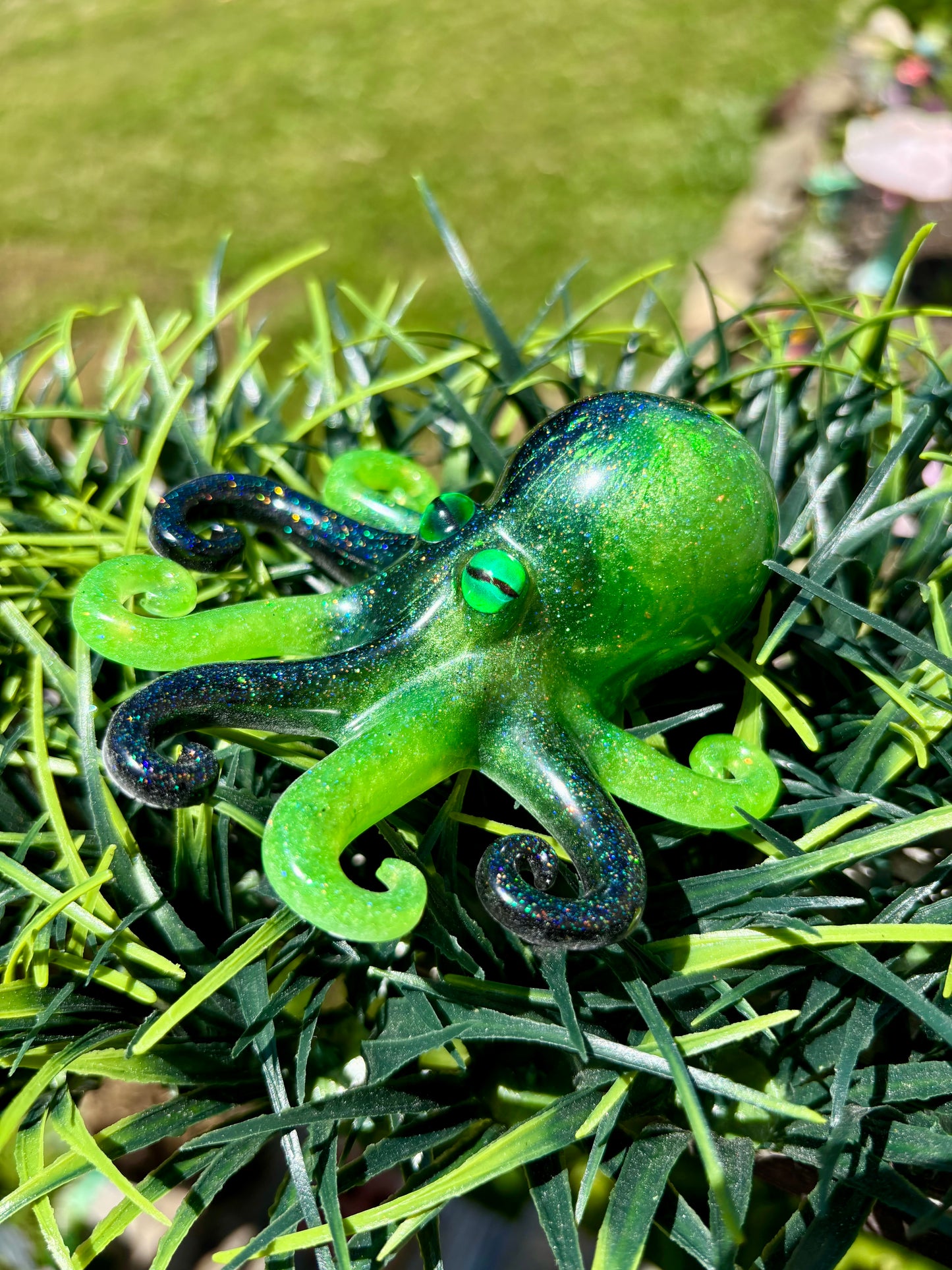 Octopus Black Green
