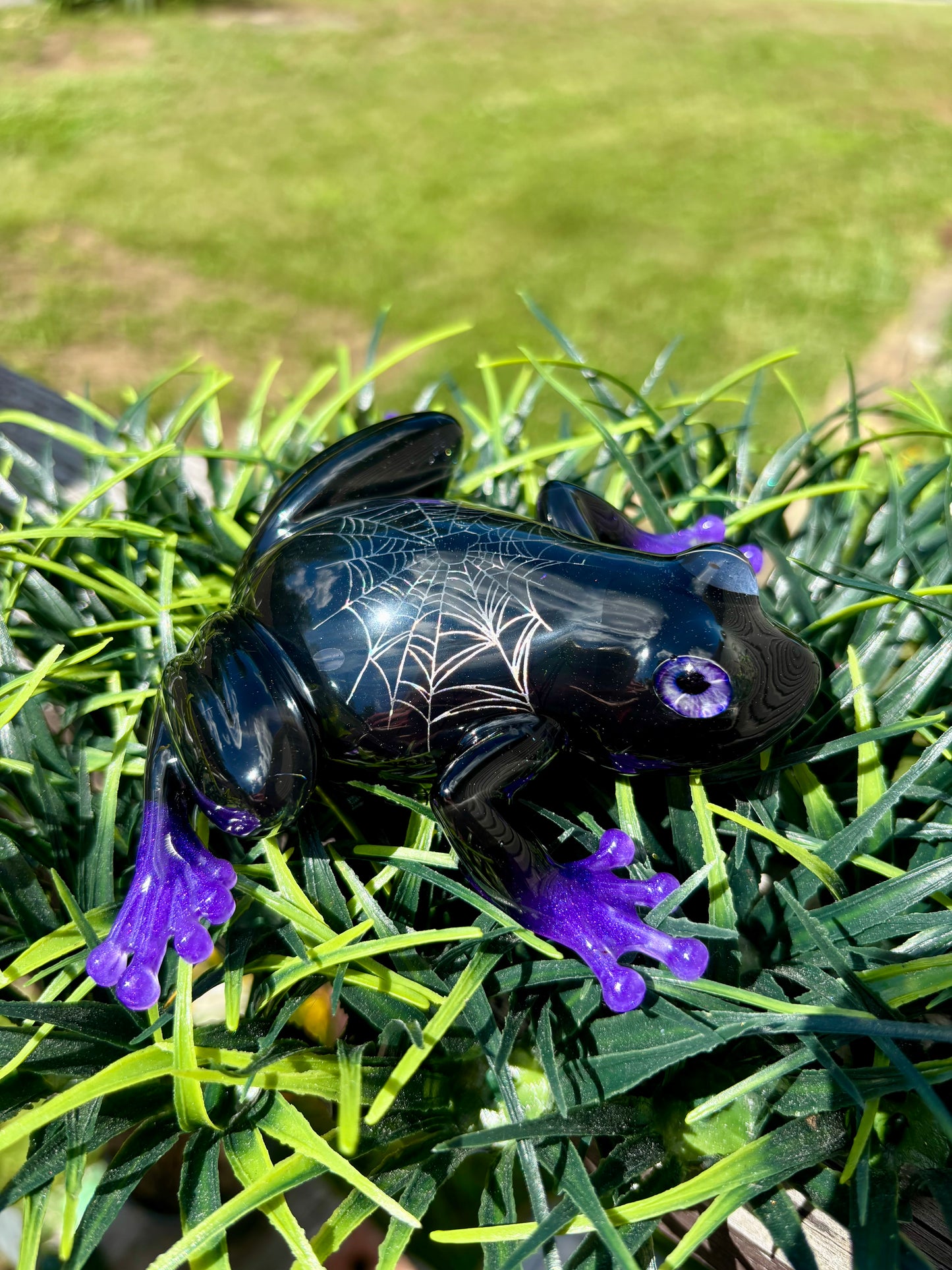 DISCOUNTED Frog Spiderweb