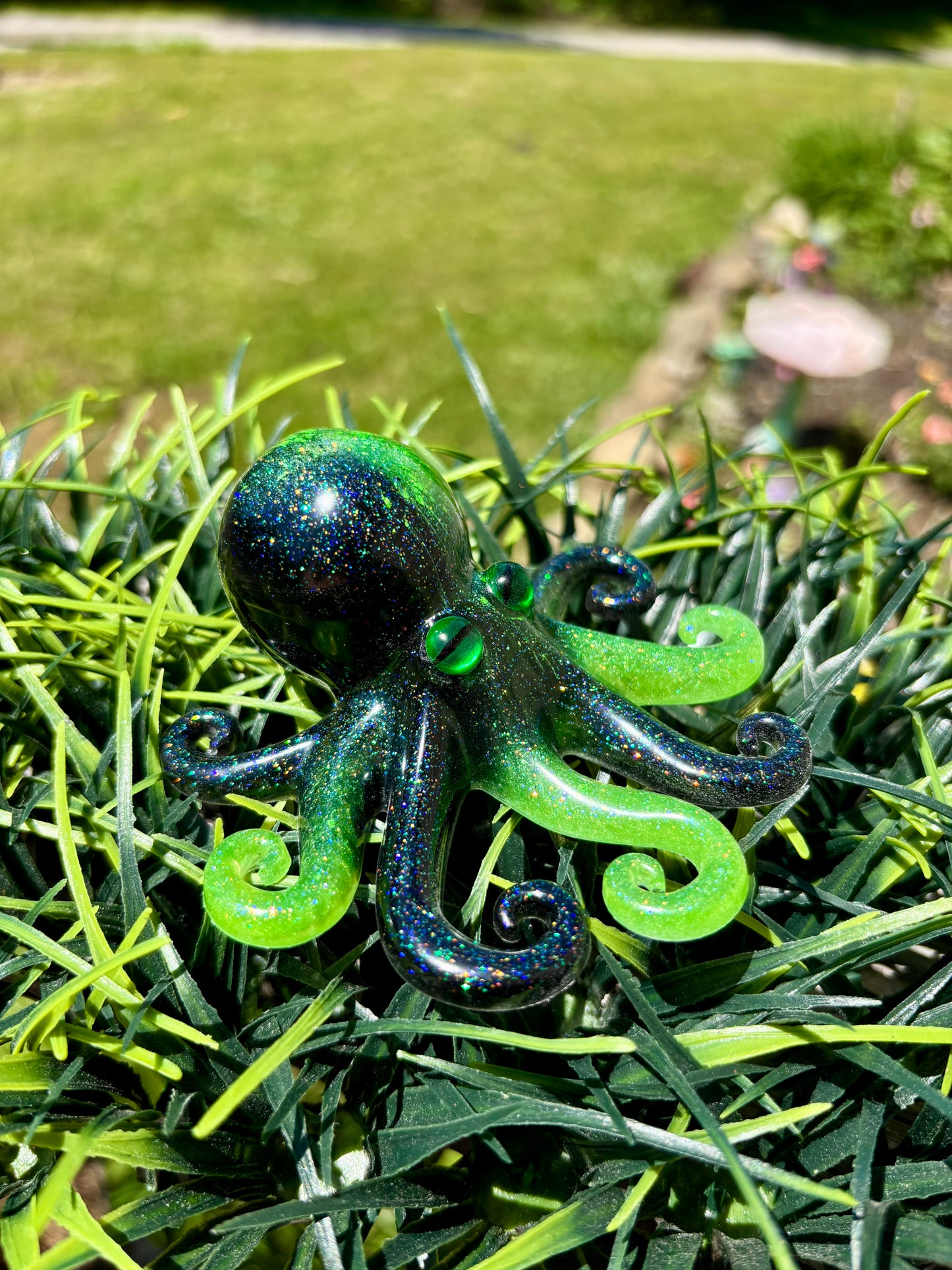 Octopus Black Green