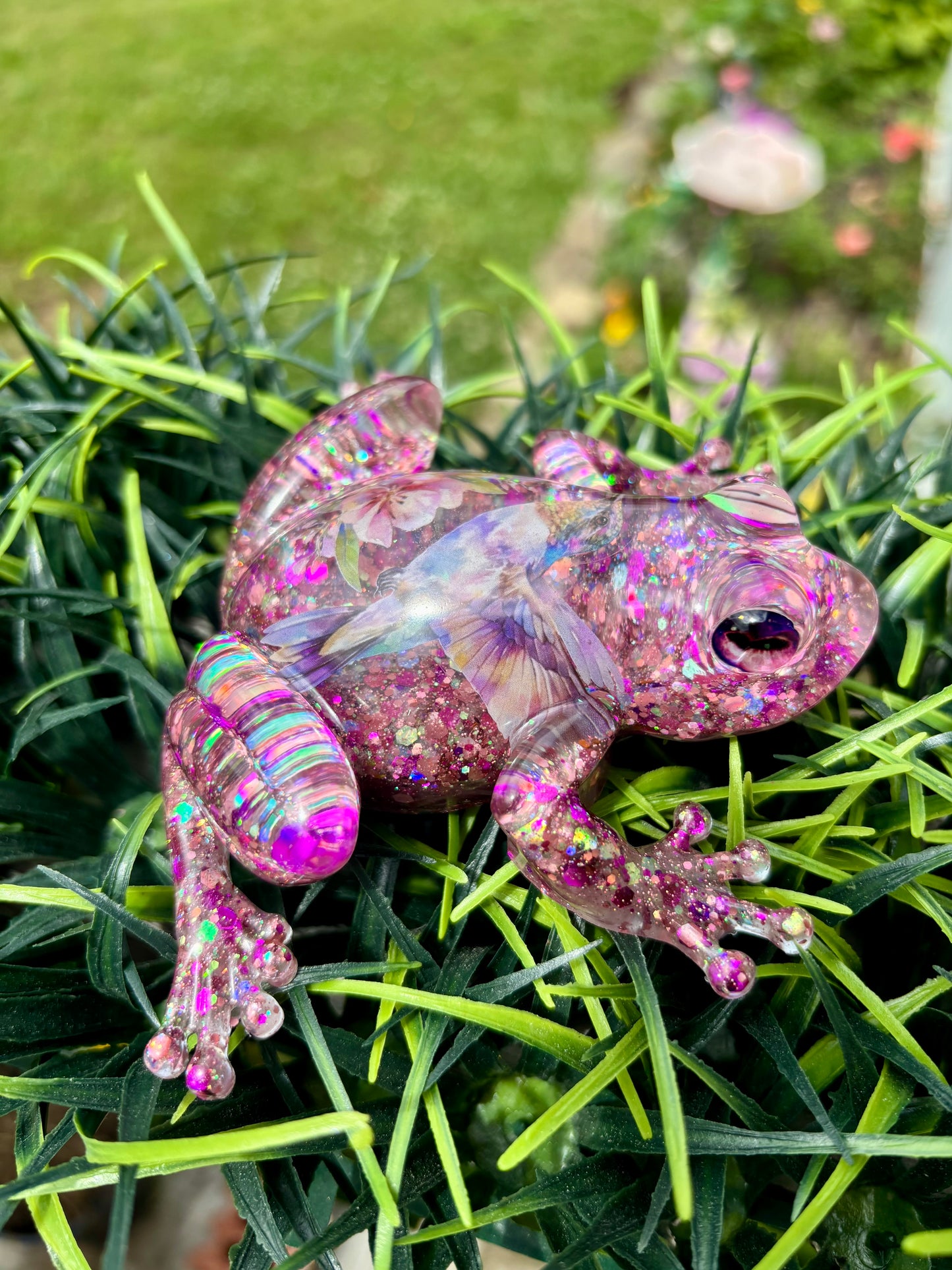 Frog Hummingbird 1