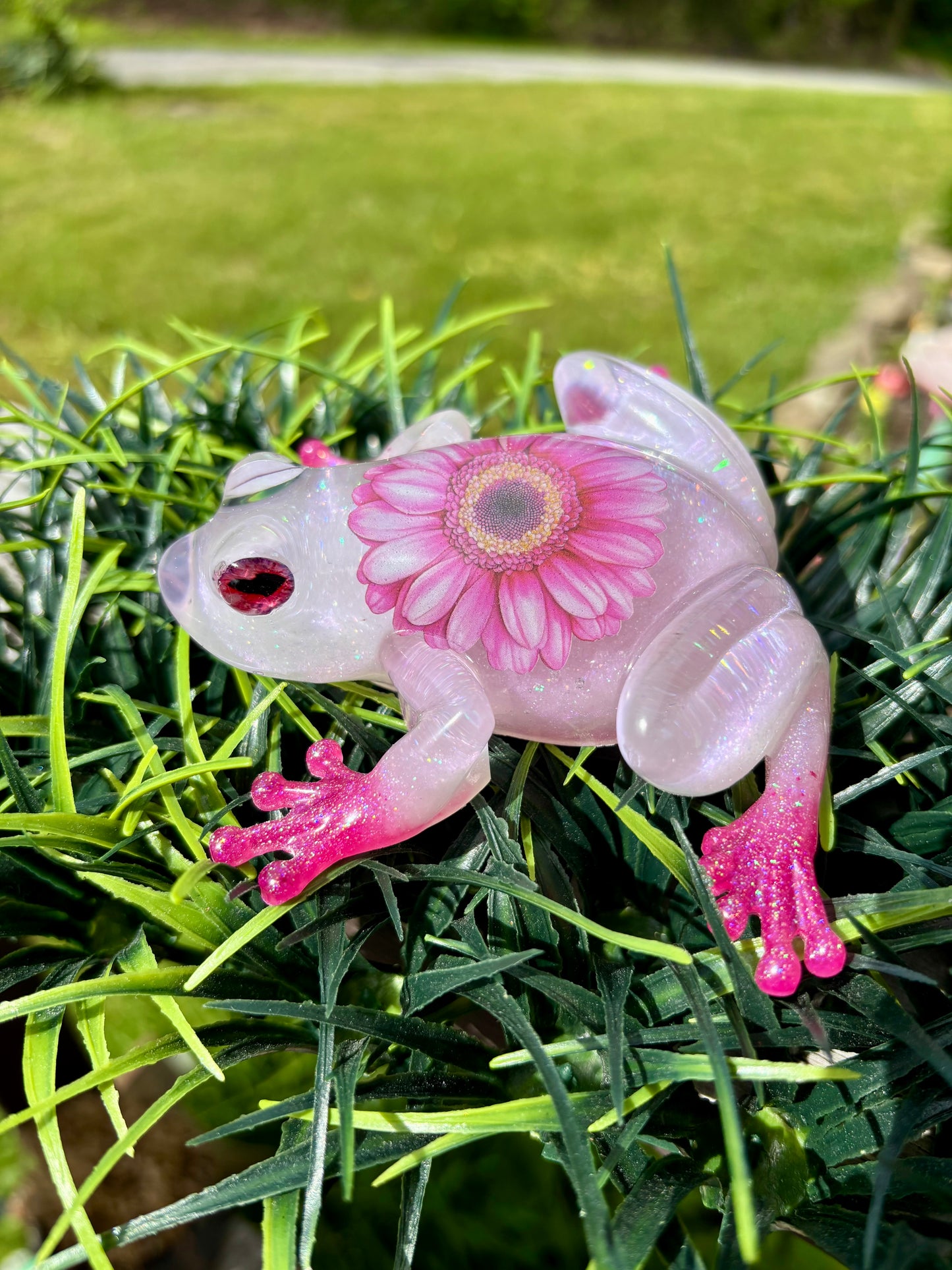 Frog Pink Zinnia