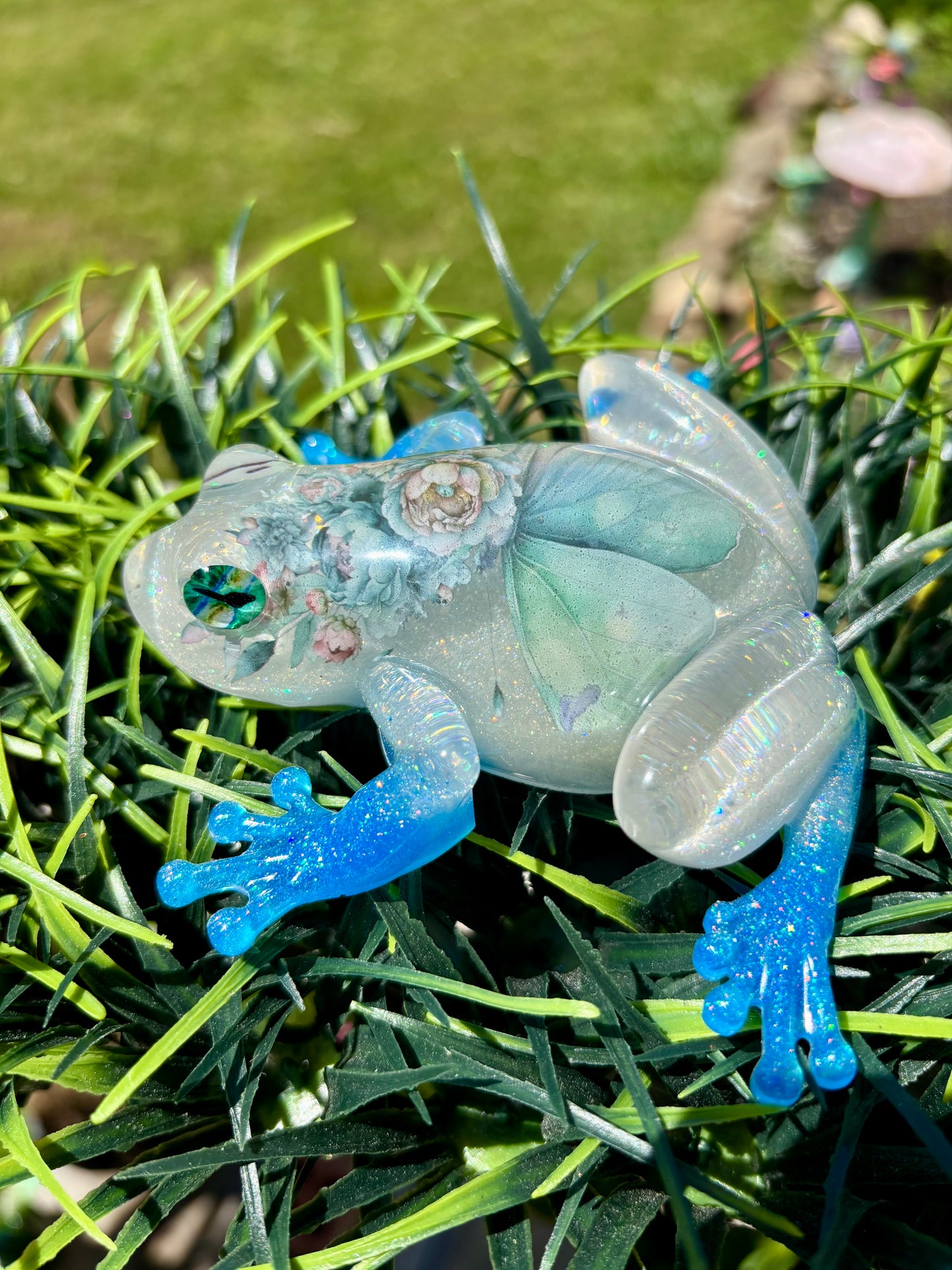 Frog Blue Butterfly