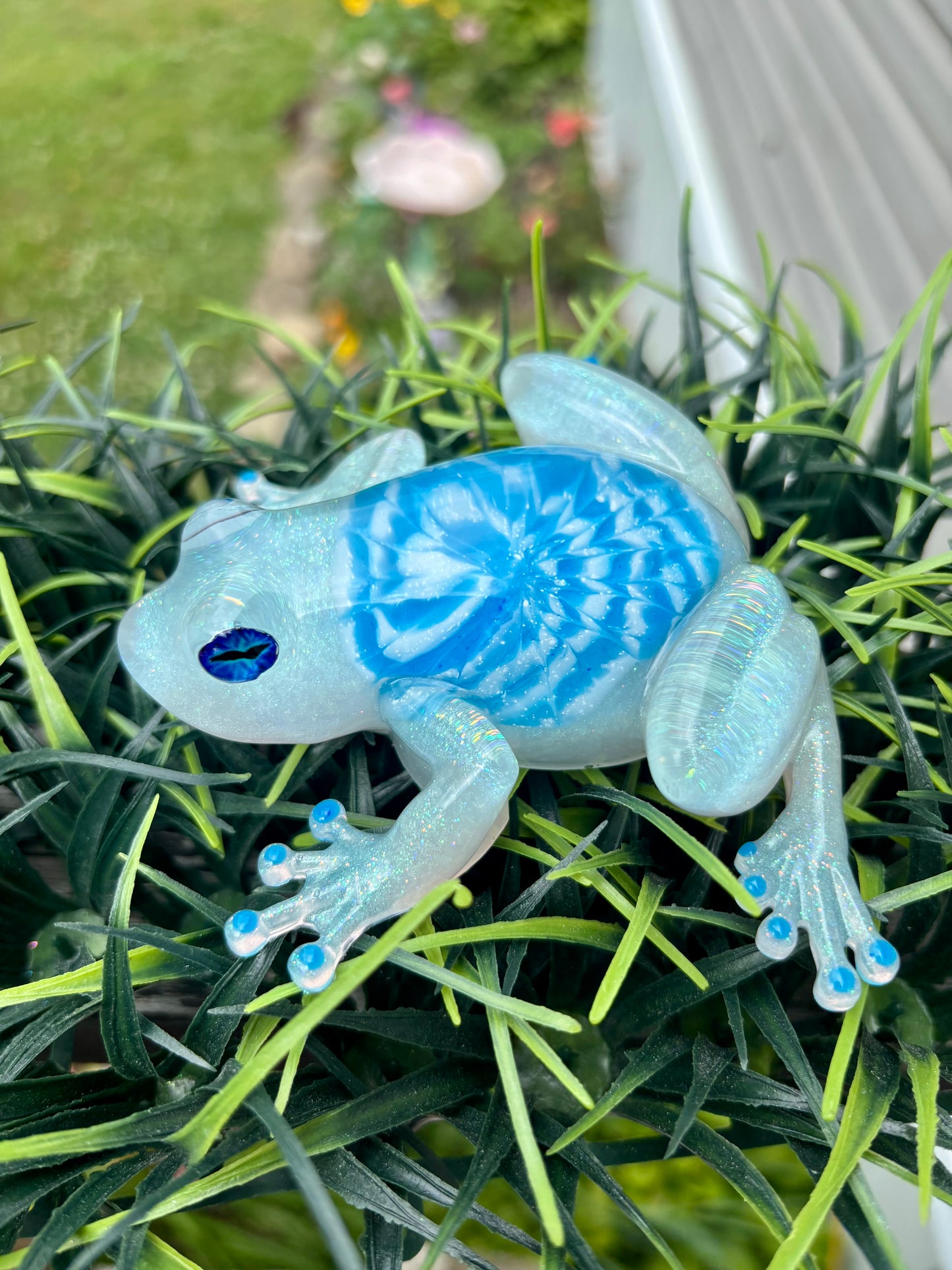 Frog Tie Dye Blue/White