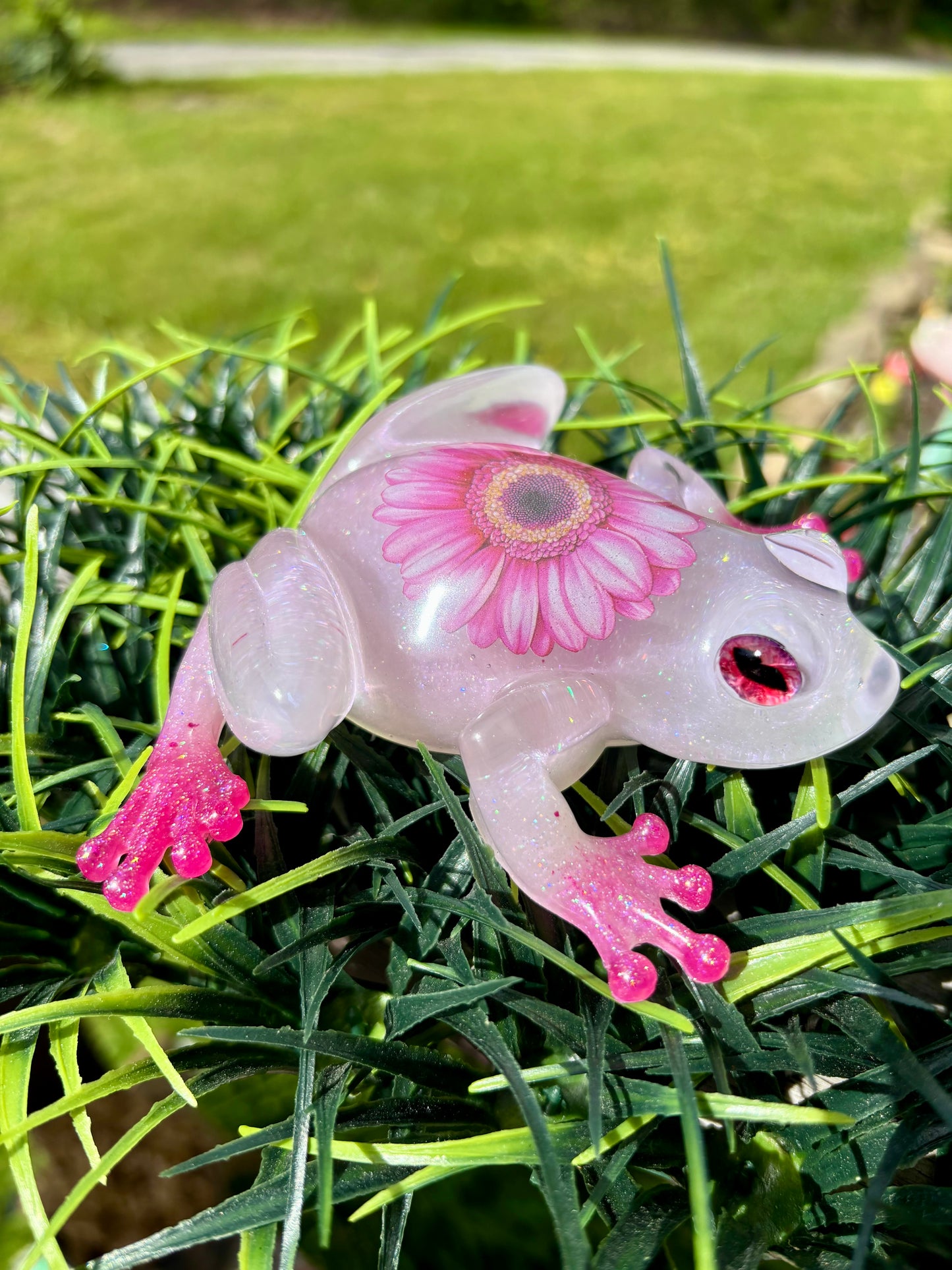 Frog Pink Zinnia