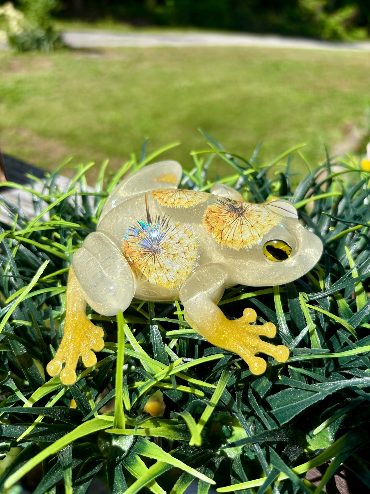 Frog Yellow Dandelion