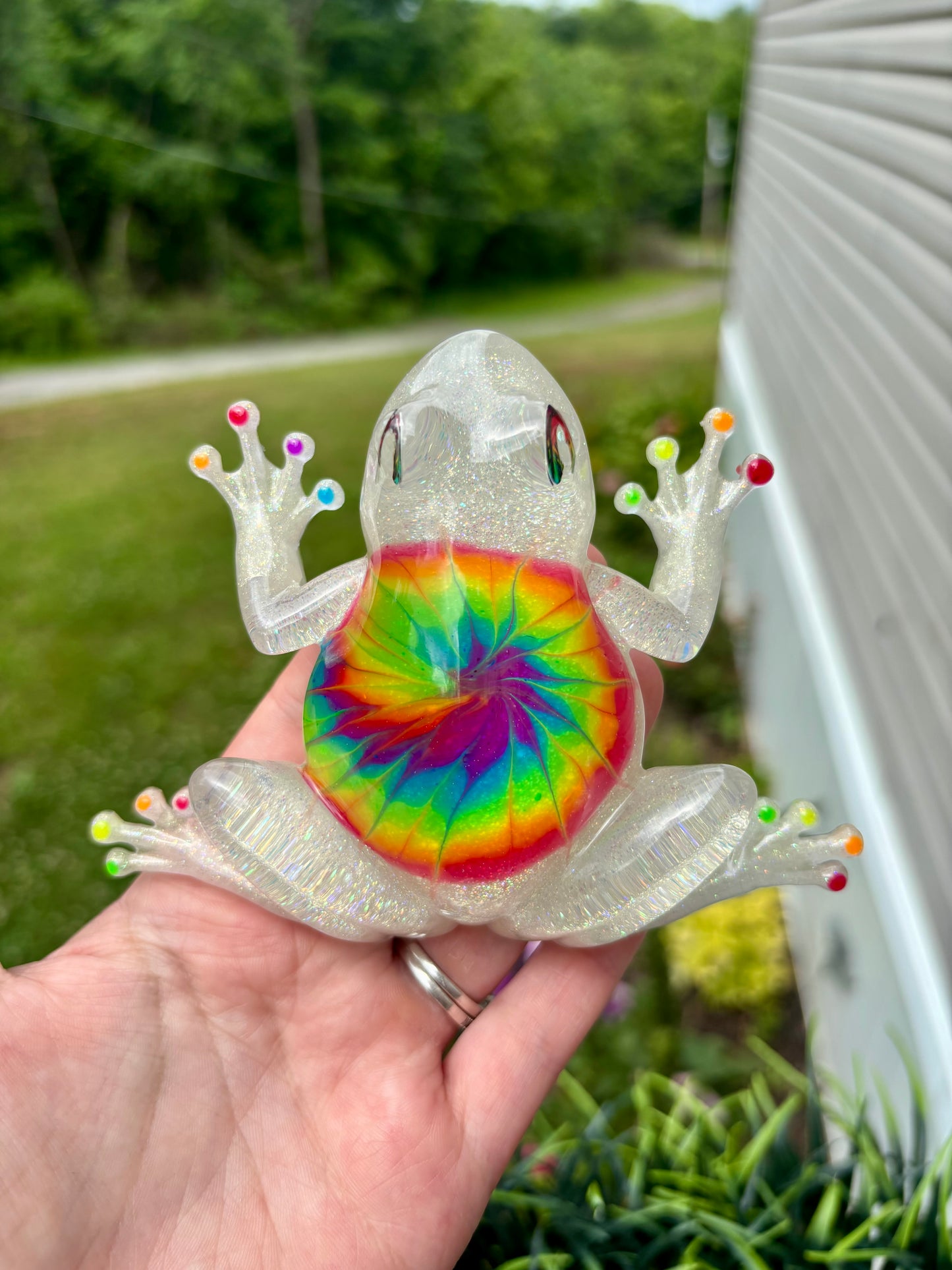 Frog Tie Dye Rainbow 1