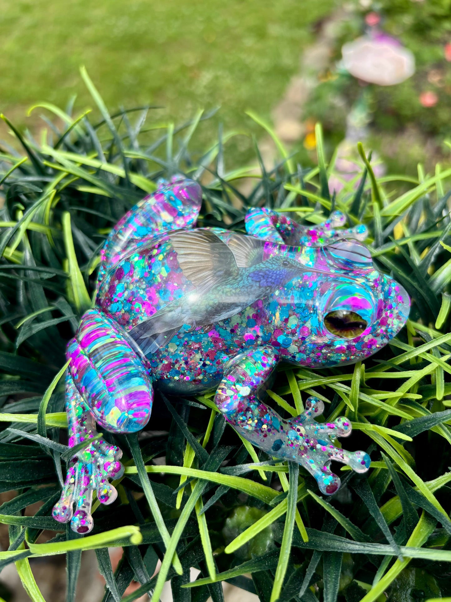 Frog Hummingbird 2