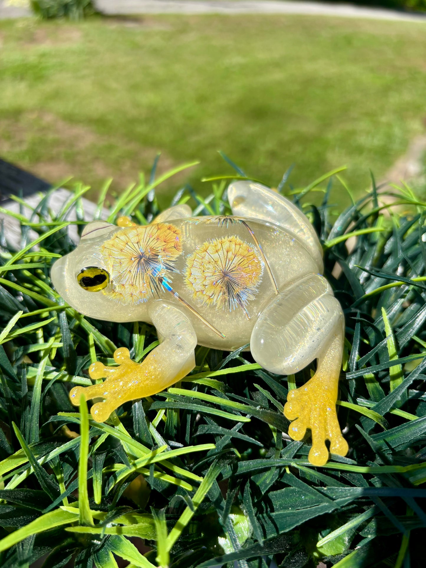 Frog Yellow Dandelion