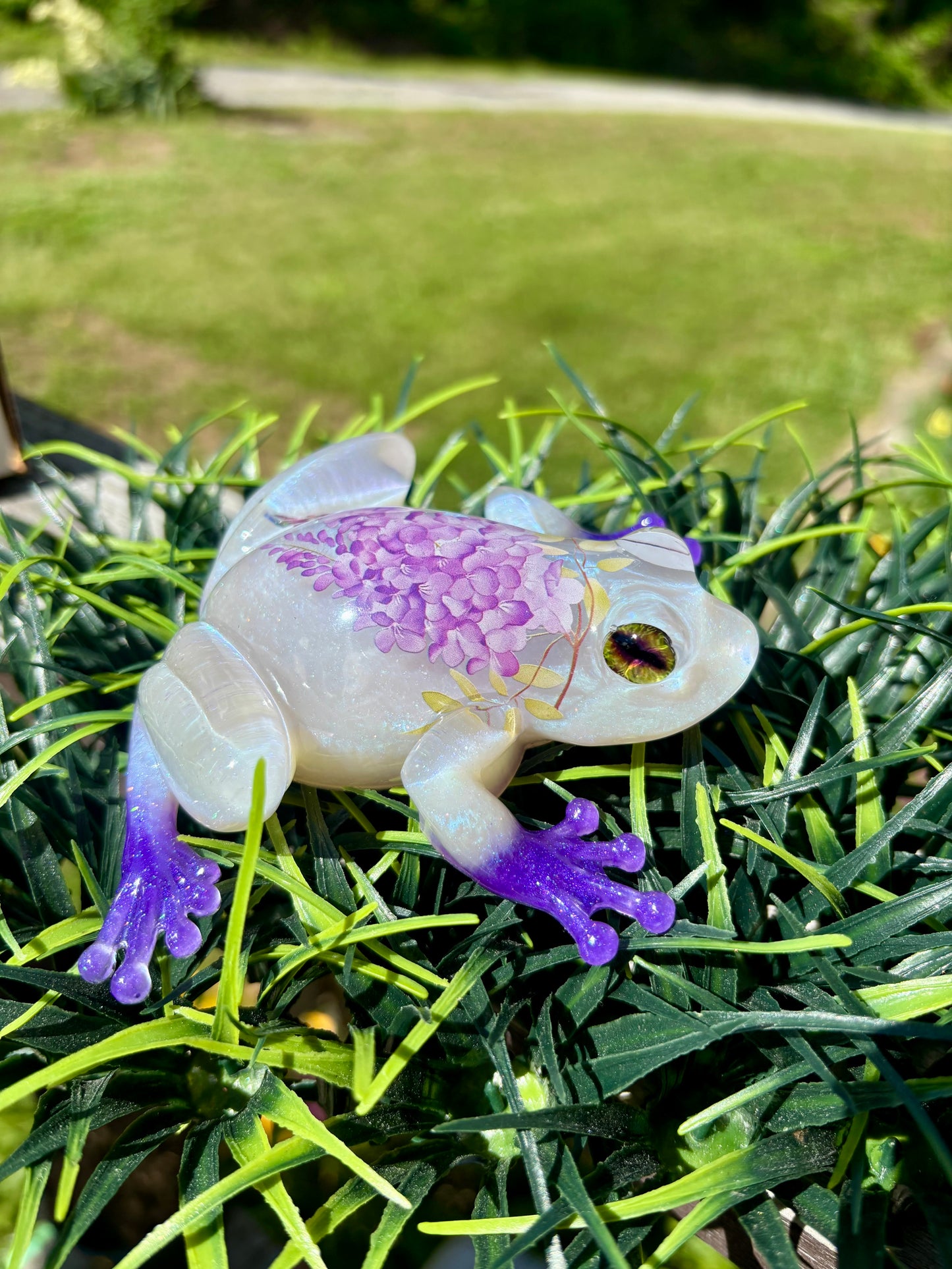 Frog Wisteria