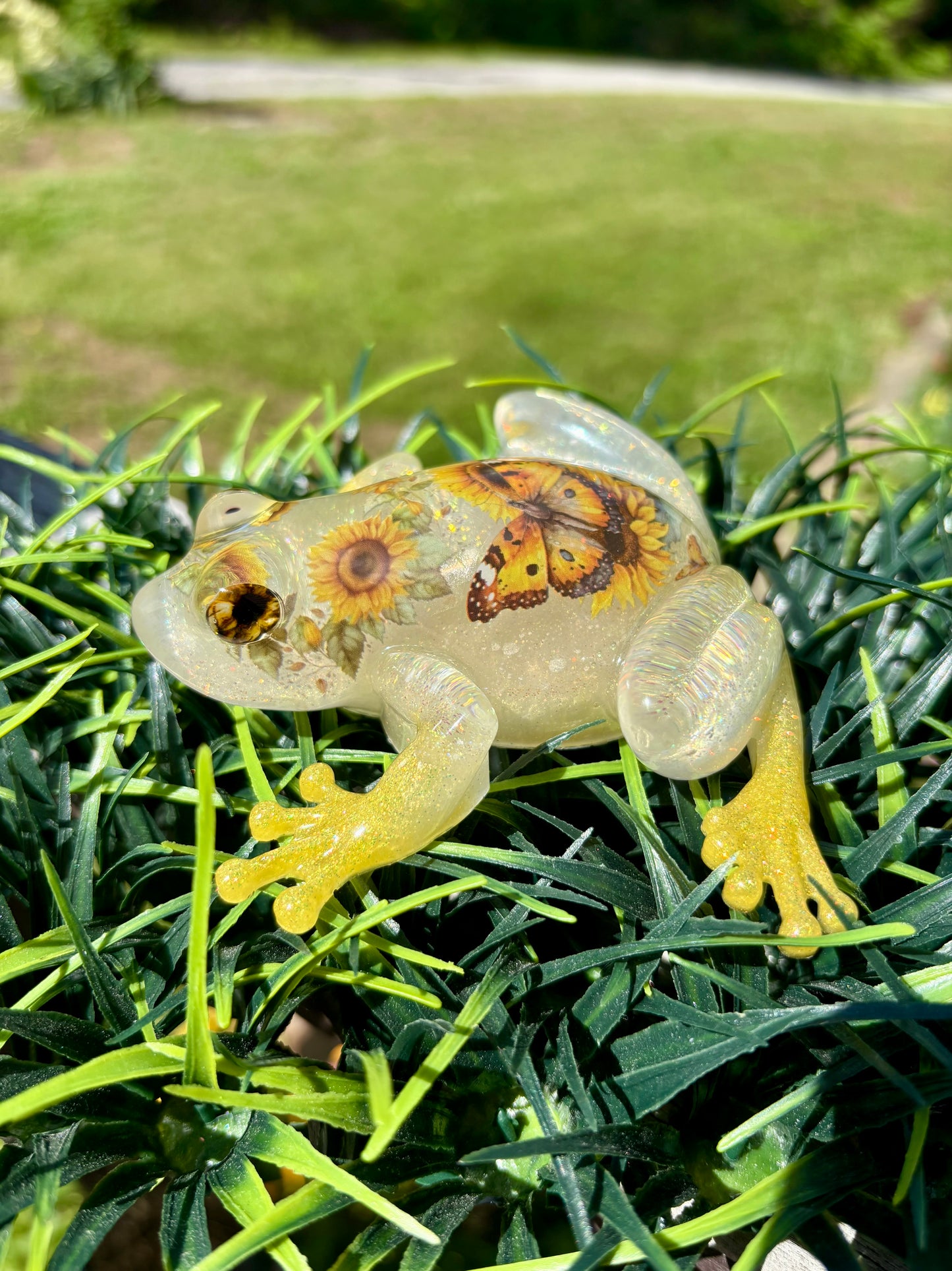 Frog Sunflower Butterfly