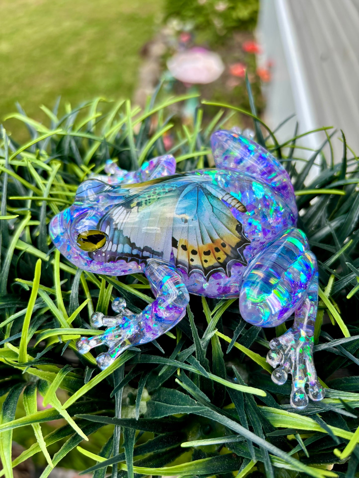 Frog Butterfly Opal Purple