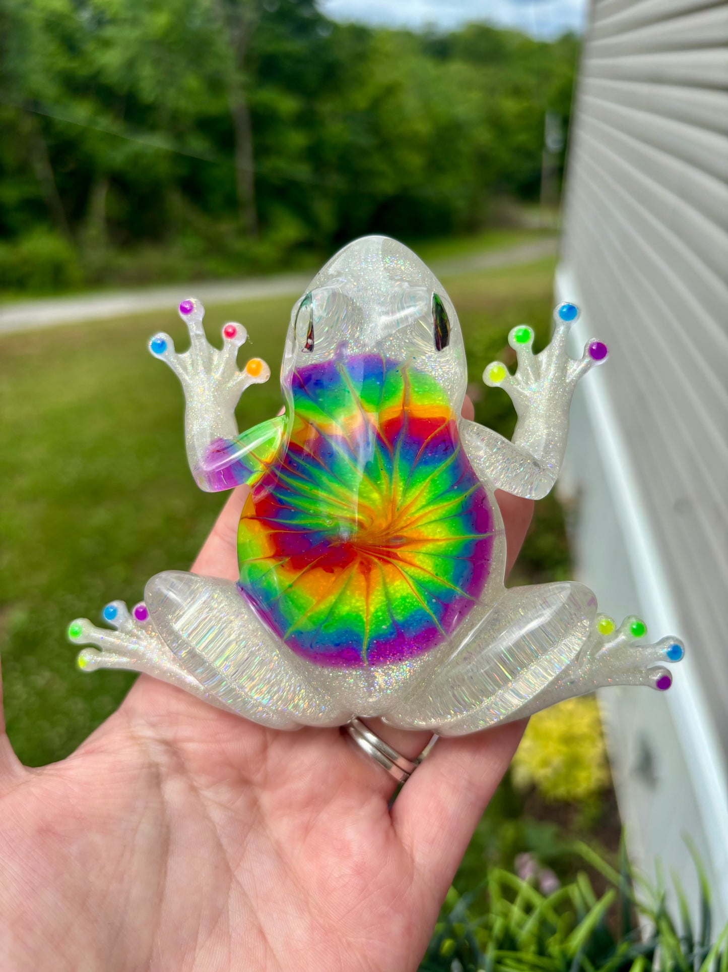 Frog Tie Dye Rainbow 2