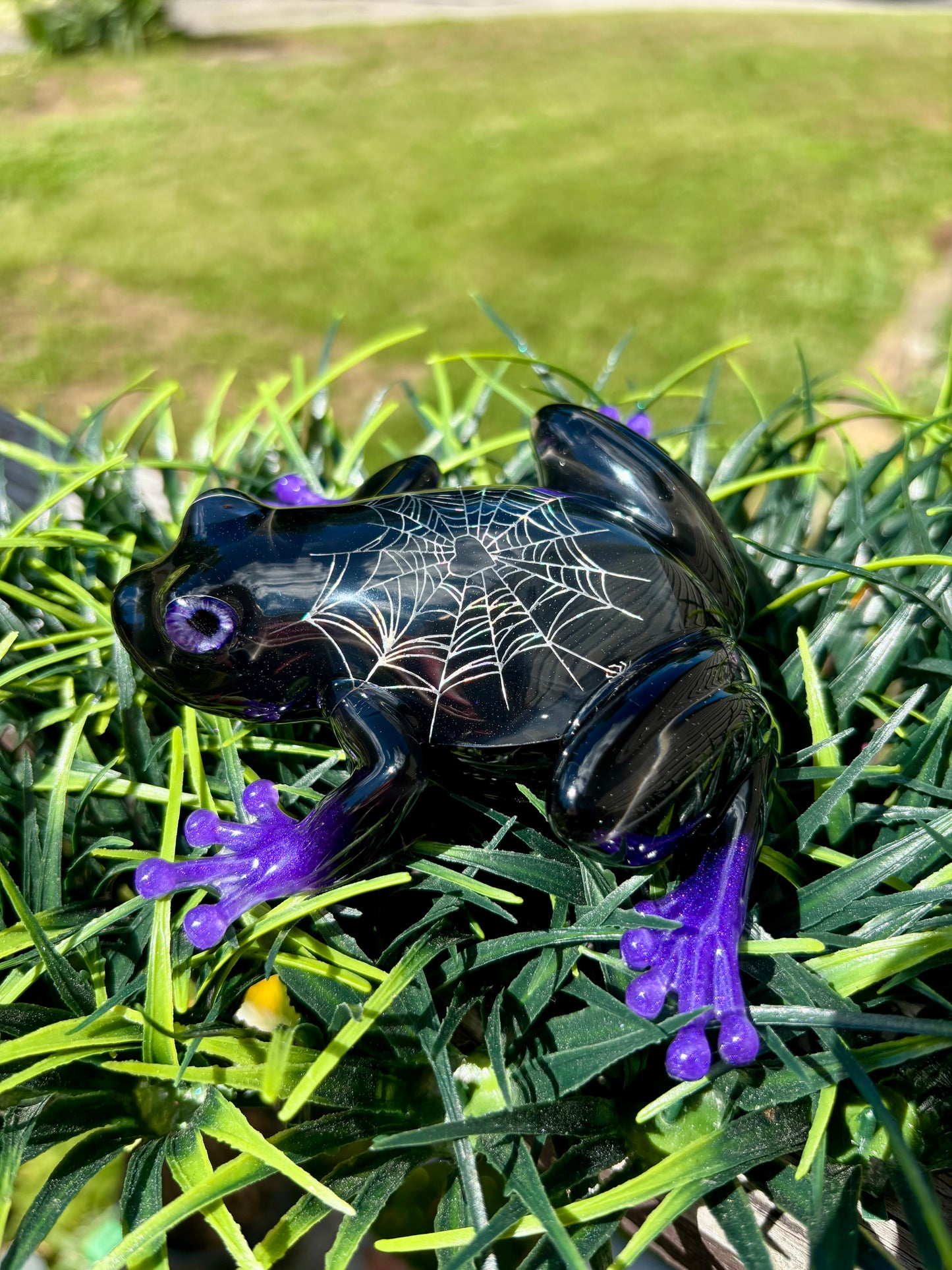 DISCOUNTED Frog Spiderweb