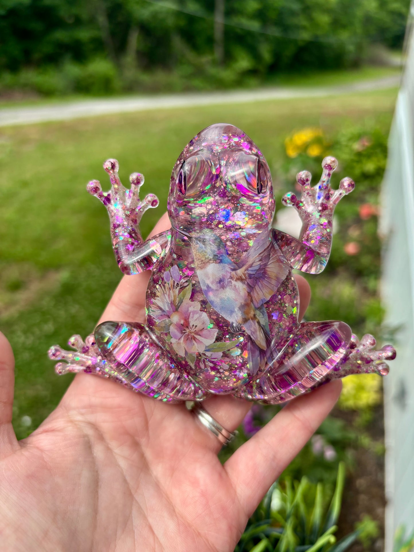 Frog Hummingbird 1