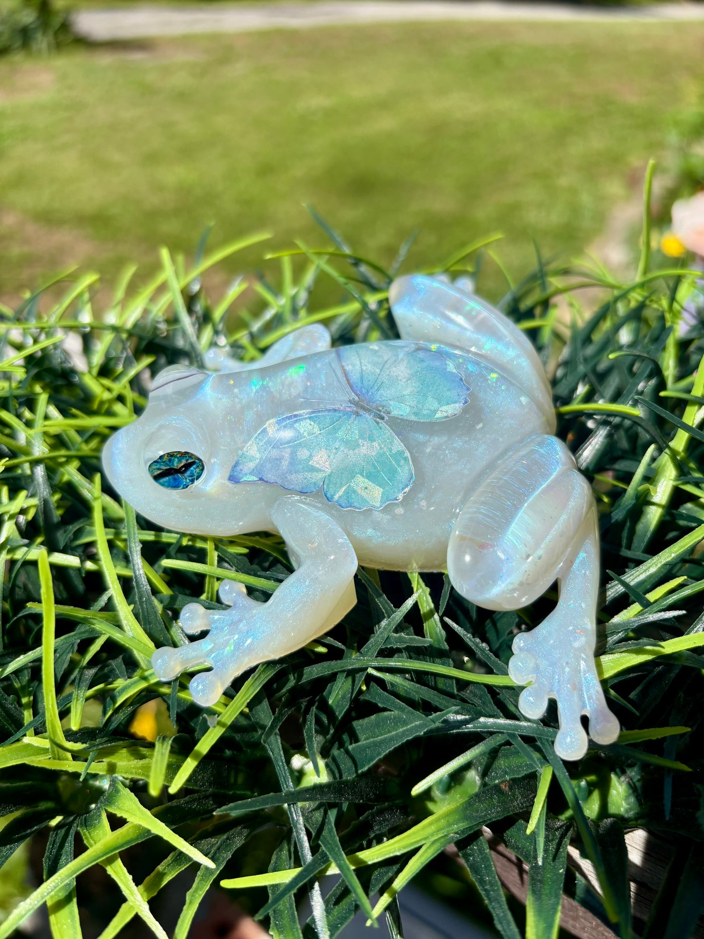 Frog Blue Opal Butterfly