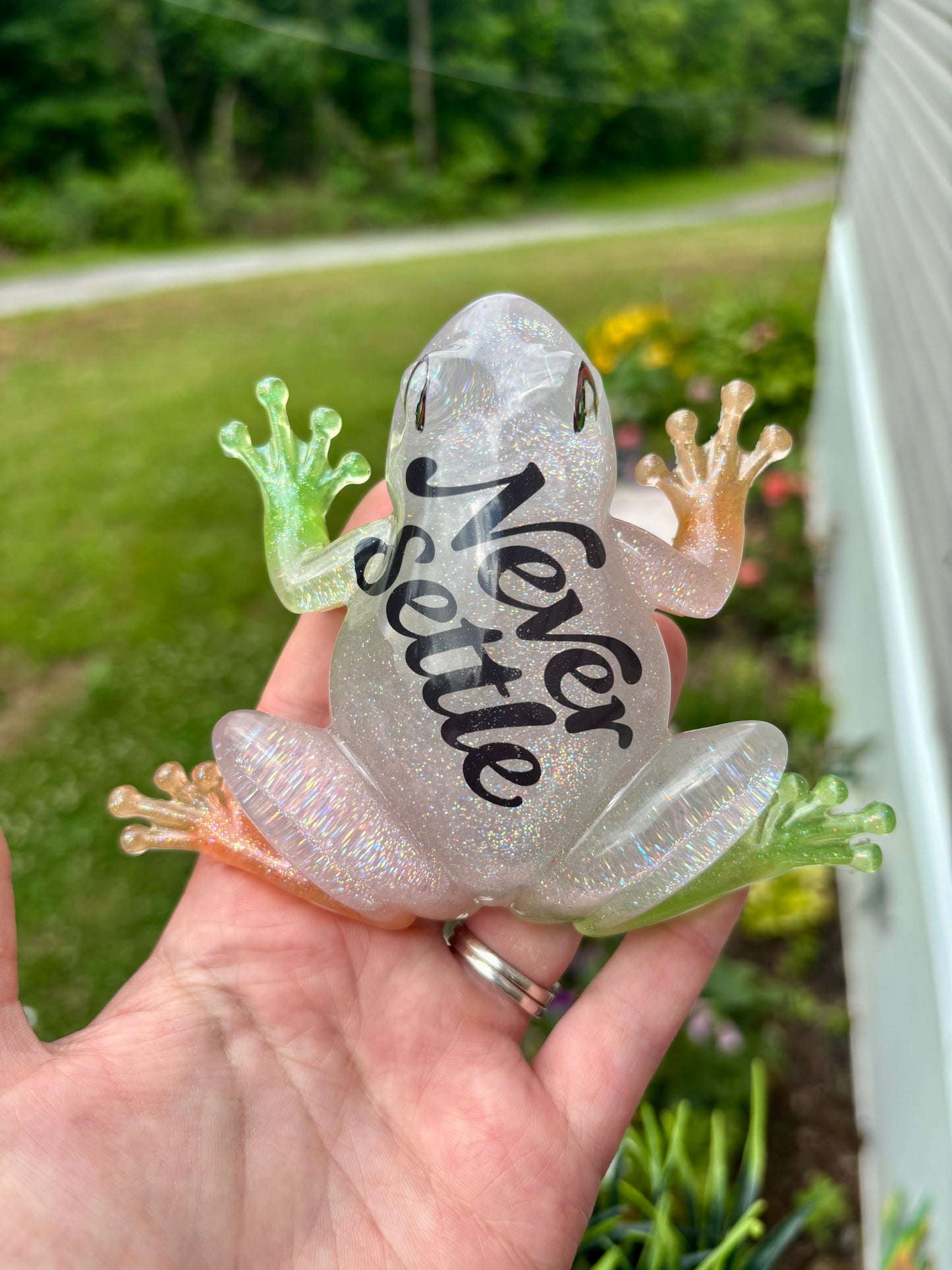 Frog “Never Settle”