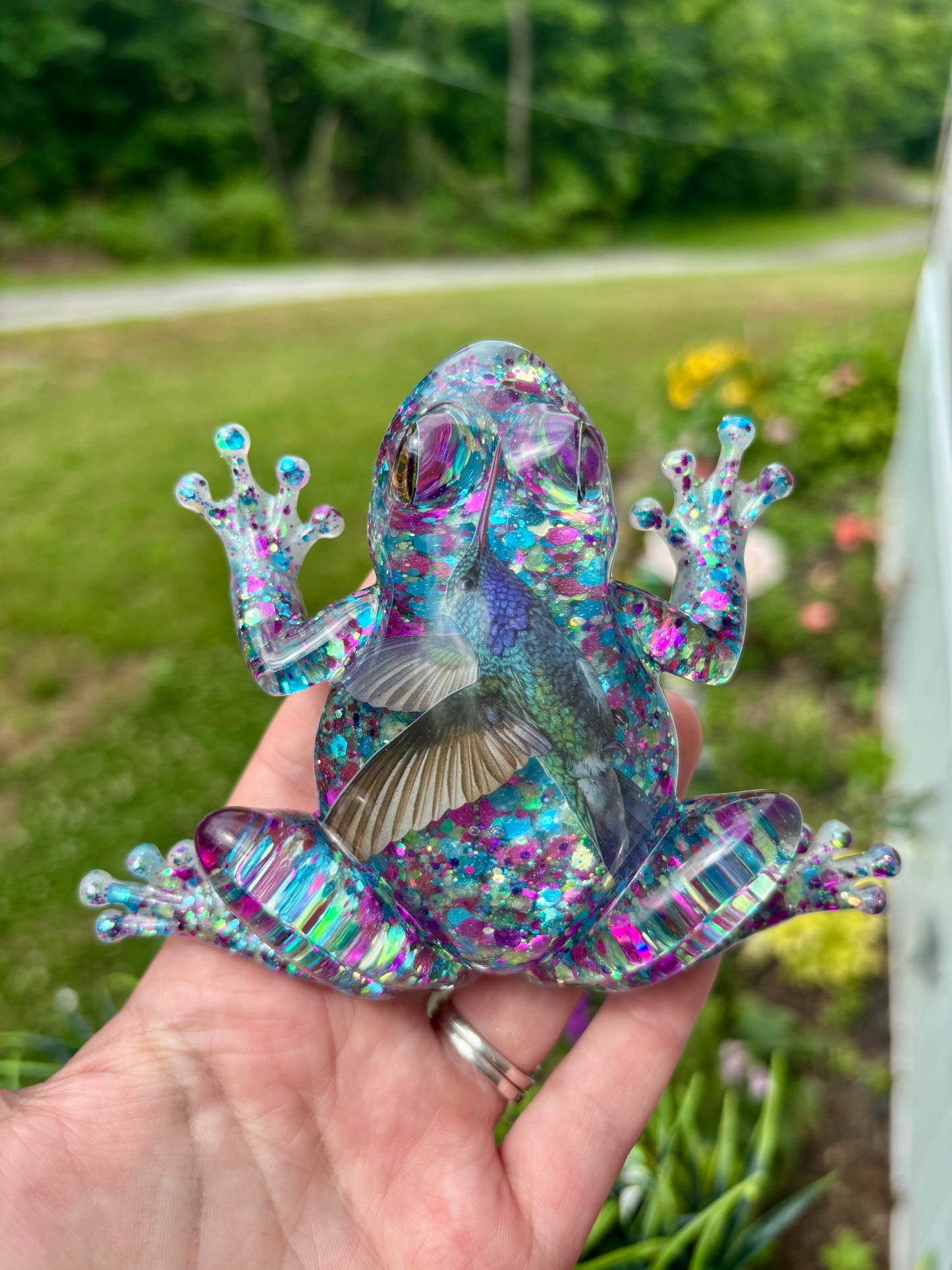 Frog Hummingbird 2