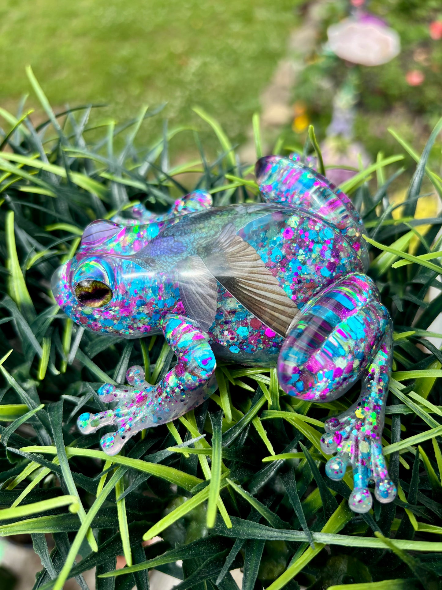 Frog Hummingbird 2