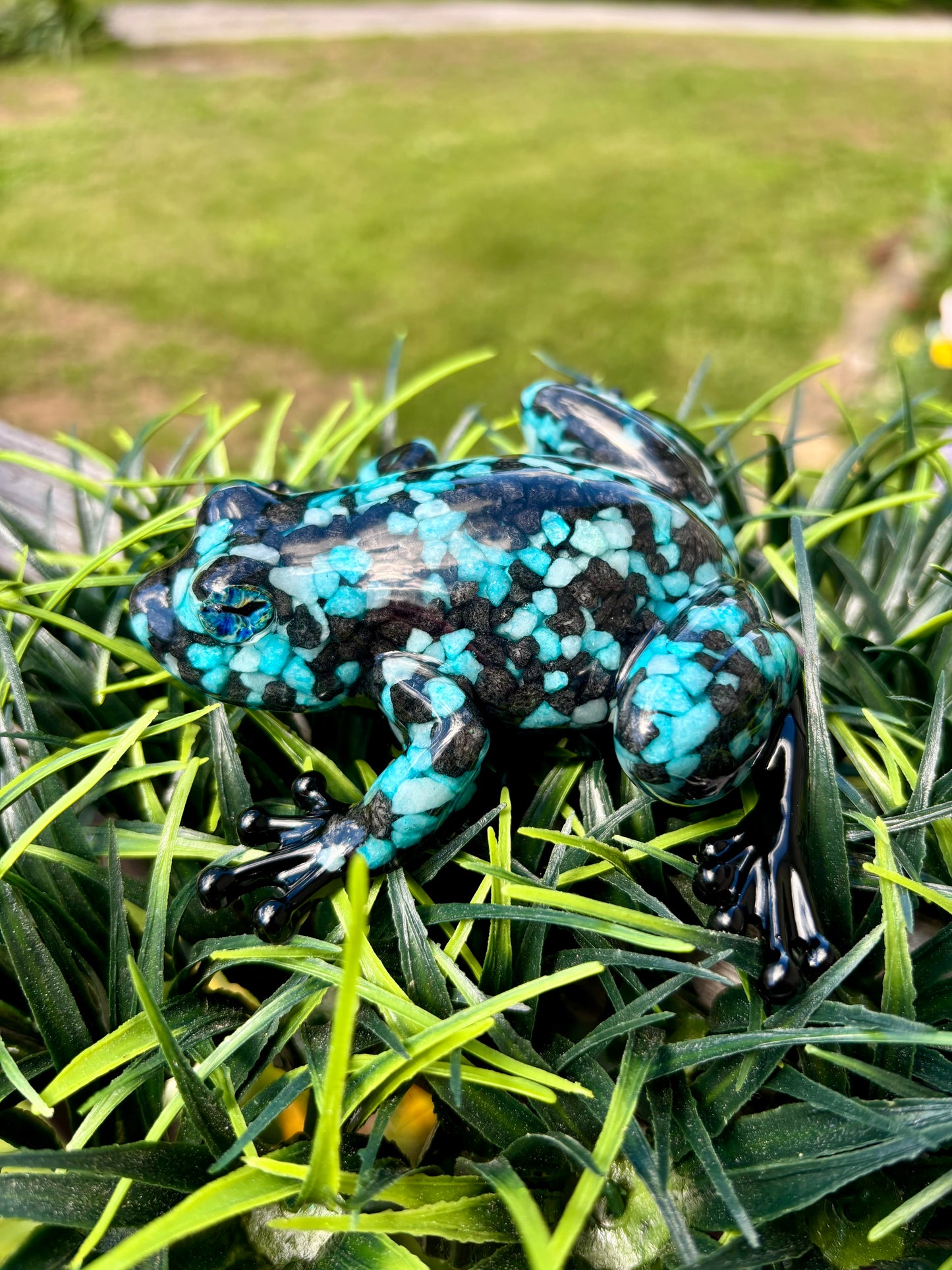 Frog Black/Teal Pebbles
