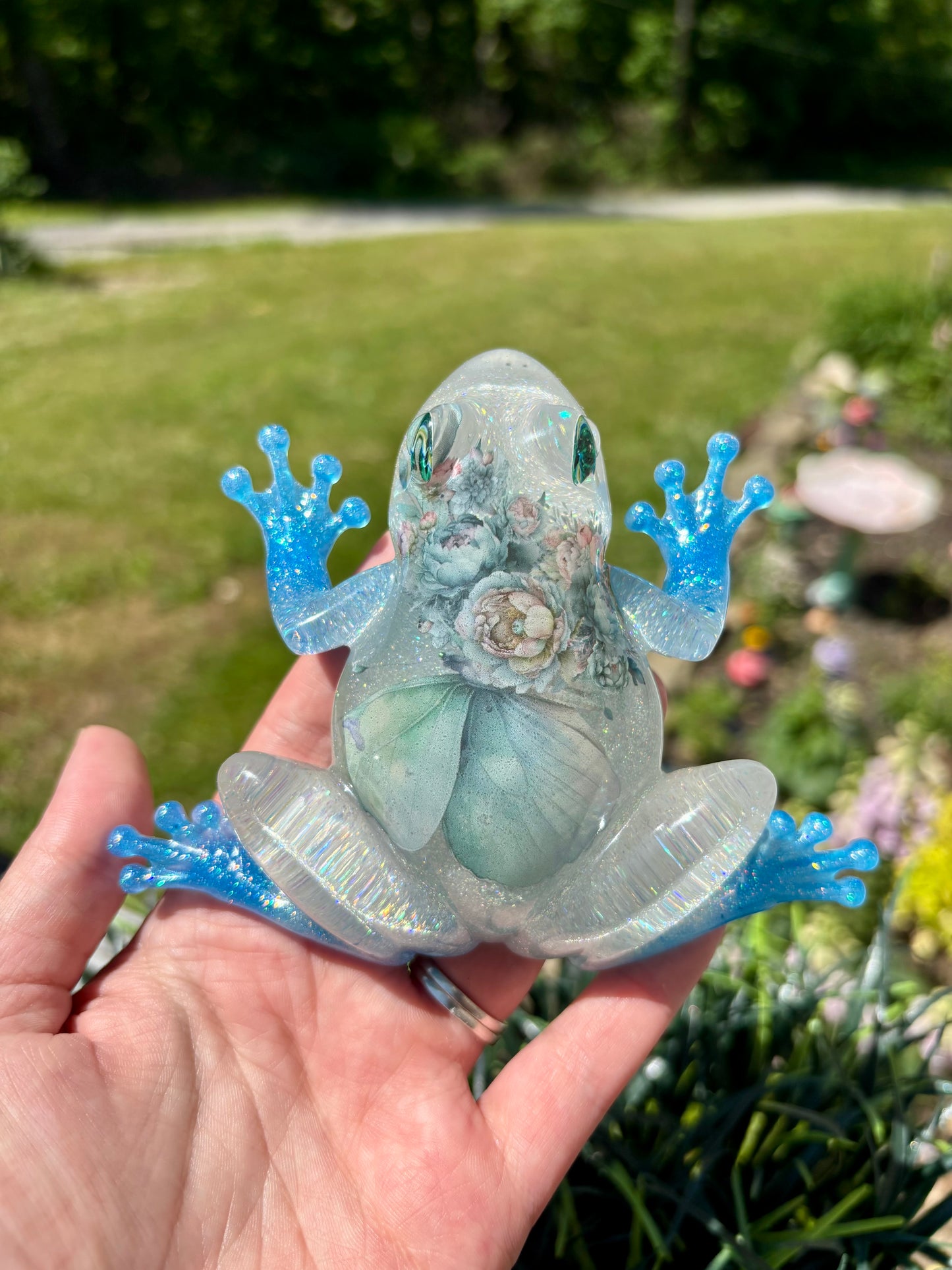 Frog Blue Butterfly