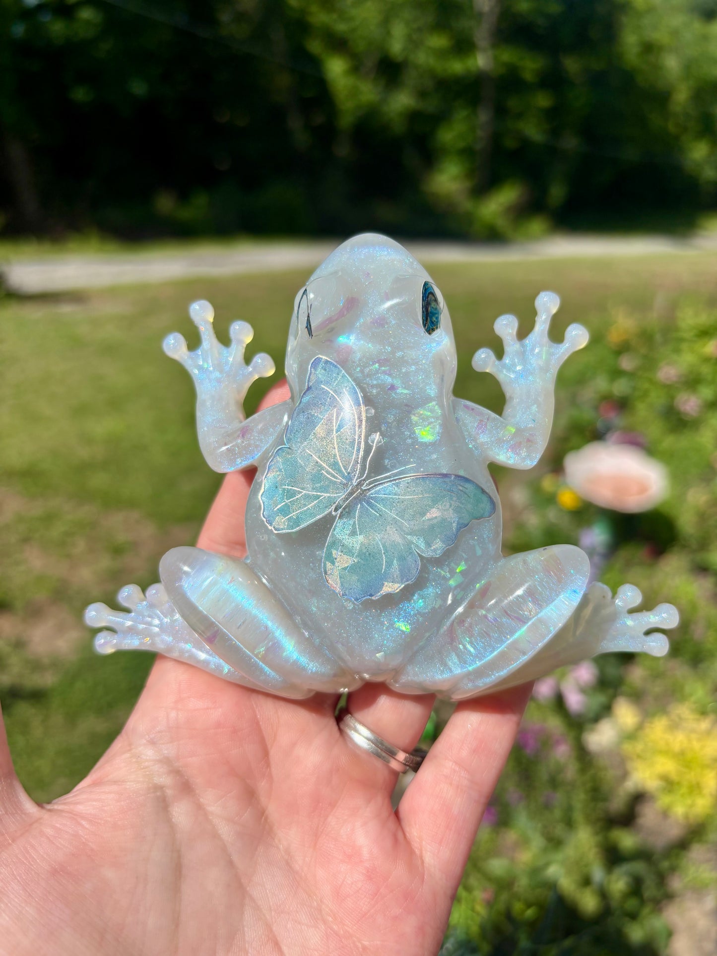 Frog Blue Opal Butterfly